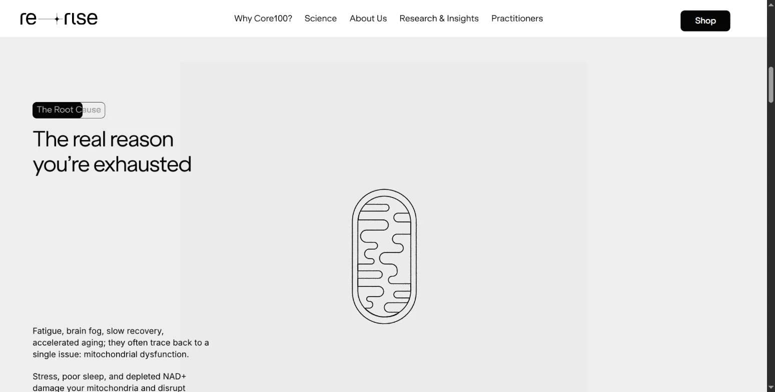 The Root Cause โ reframing fatigue and brain fog as mitochondrial dysfunction, before the product pitch